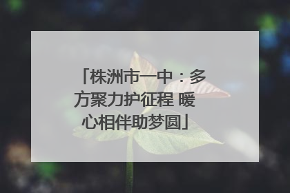 株洲市一中：多方聚力护征程 暖心相伴助梦圆